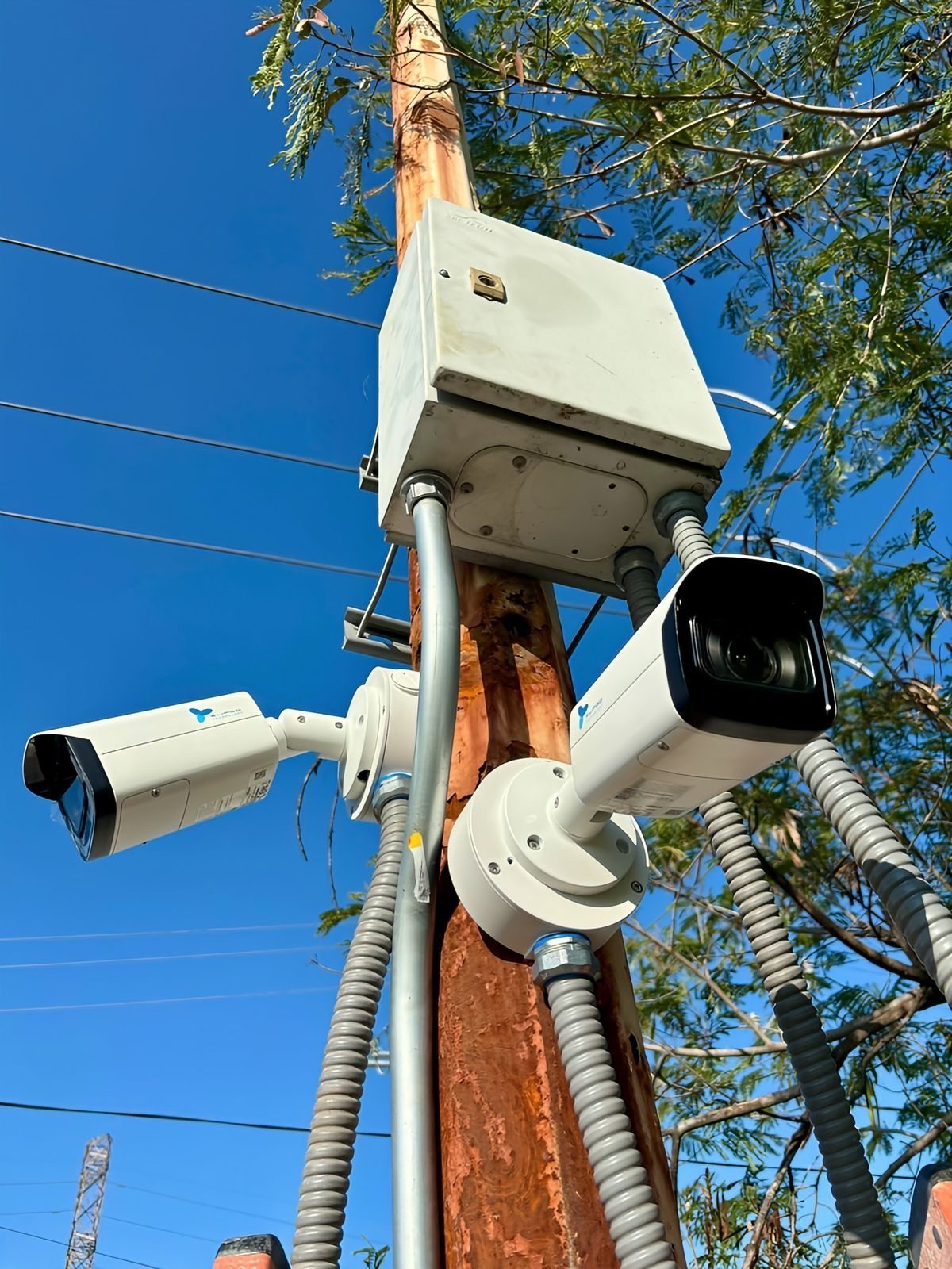 CCTV Proyecto 11